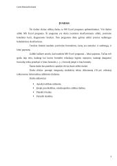 Excel užduočių ataskaita 3 puslapis