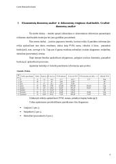 Excel užduočių ataskaita 4 puslapis