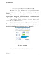 Excel užduočių ataskaita 7 puslapis