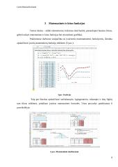 Excel užduočių ataskaita 8 puslapis