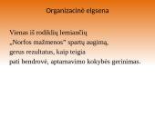 UAB „Norfa“ įvaizdžio formavimas 10 puslapis