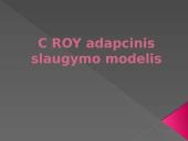 C. Roy adapcinis slaugymo modelis