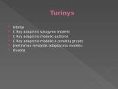 C. Roy adapcinis slaugymo modelis 2 puslapis