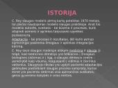 C. Roy adapcinis slaugymo modelis 4 puslapis