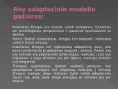 C. Roy adapcinis slaugymo modelis 6 puslapis