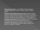 C. Roy adapcinis slaugymo modelis 8 puslapis