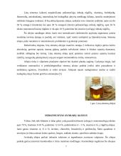 Nerafinuoti augaliniai aliejai 7 puslapis