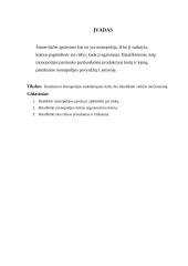 Monopolija Lietuvoje 2 puslapis