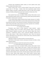 Žemės konsolidacijos projektas Kauno rajono apskrityje Dokių kaime 6 puslapis