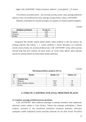 UAB „Santrope“ verslo planas 13 puslapis