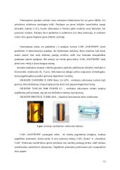 UAB „Santrope“ verslo planas 15 puslapis