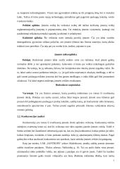 UAB „Santrope“ verslo planas 7 puslapis