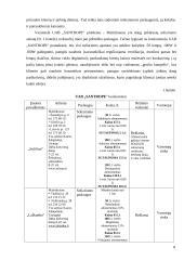 UAB „Santrope“ verslo planas 8 puslapis