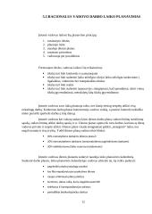 UAB ,,NT Valdos“ praktikos ataskaita 12 puslapis