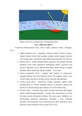 Atmosferos sandara ir klimato kaita 7 puslapis