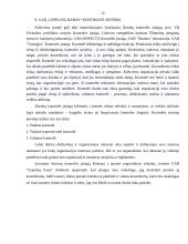 Įmonės "Cepelinų baras" vadybinė veiklos analizė 13 puslapis