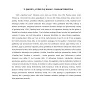 Įmonės "Cepelinų baras" vadybinė veiklos analizė 4 puslapis