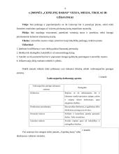 Įmonės "Cepelinų baras" vadybinė veiklos analizė 5 puslapis