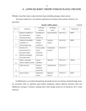 Įmonės "Cepelinų baras" vadybinė veiklos analizė 10 puslapis