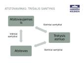 Atstovavimas ir įgaliojimas 5 puslapis