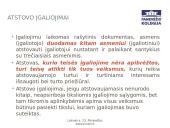 Atstovavimas ir įgaliojimas 8 puslapis