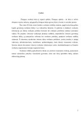 Pagrindiniai Lietuvos gyventojų sveikatos rodikliai per pastaruosius metus 3 puslapis