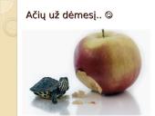 Skaidrės apie Konstantiną Sirvydą 15 puslapis