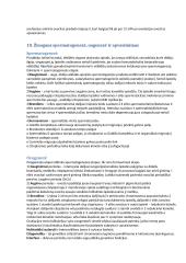 Ląstelės ciklas (prokariotų ir eukariotų) 3 puslapis