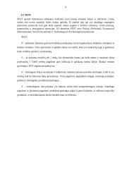 Krovinių vežimo technologijos kursinis darbas 9 puslapis