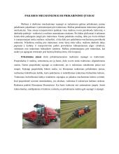 Traktorių hidraulinės sistemos sandara ir veikimas 11 puslapis