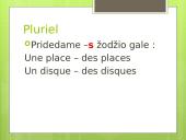 L’article indéfini / défini 4 puslapis