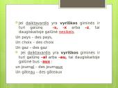 L’article indéfini / défini 5 puslapis