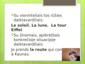 L’article indéfini / défini 9 puslapis