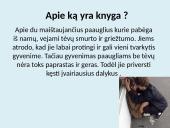 Heroinas knyga 2 puslapis