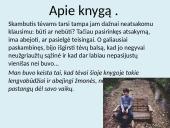 Heroinas knyga 3 puslapis