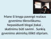 Heroinas knyga 7 puslapis