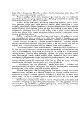Istorija apie sudegintą Juodapurvės kaimą 3 puslapis