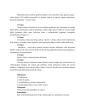 Direktorės ir virėos konfliktas 3 puslapis