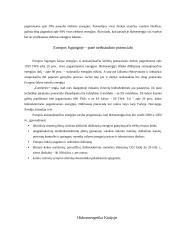 Hidroenergetika 7 puslapis
