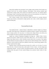 Hidroenergetika 8 puslapis