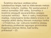 Bendruomenės pažinimas 15 puslapis