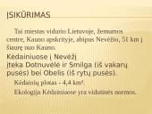 Bendruomenės pažinimas 3 puslapis