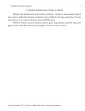 UAB „Eltel Networks“ praktikos ataskaita 7 puslapis