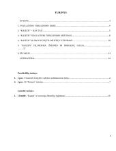 Kaizen metodas 2 puslapis