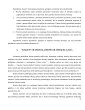 Kaizen metodas 11 puslapis