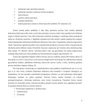 Kaizen metodas 6 puslapis