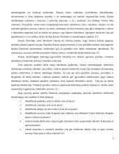Kaizen metodas 9 puslapis