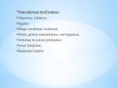 Spėkite atpažinti smurtą 11 puslapis