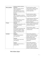 Baltymų žaliavų laikymas 4 puslapis