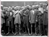 Dievų miškas skaidrės 11 puslapis